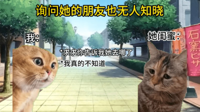 猫meme搞怪冒险国际服版
