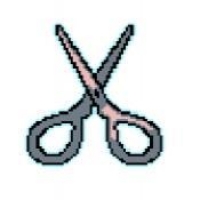 抬头只见天花板官方正版