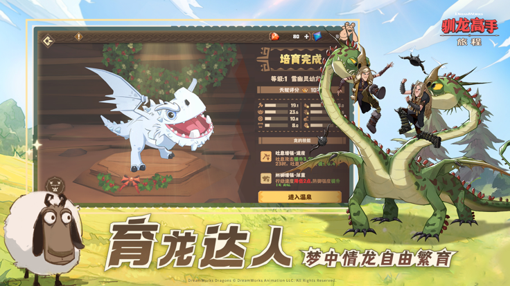 驯龙高手：旅程国际服版