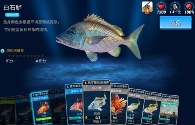 钓鱼大对决单机版截图3