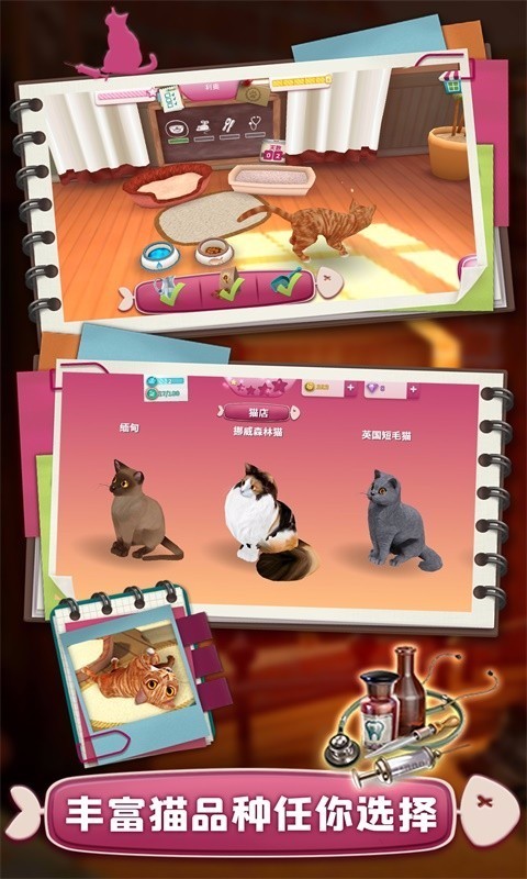 撸猫模拟器安卓版截图2