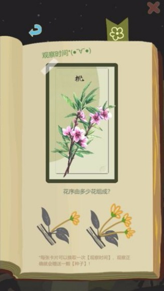 老农种树单机版截图3