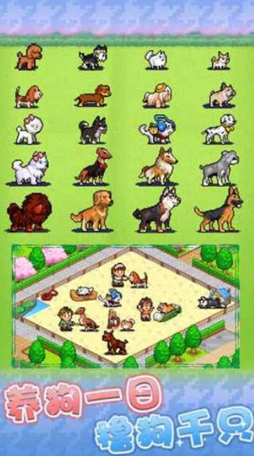 发现狗狗乐园破解版