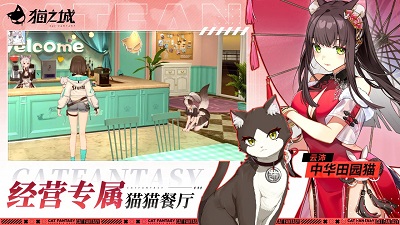 猫之城官方正版截图4