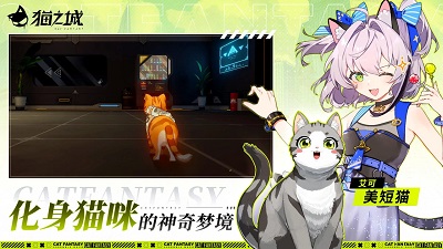 猫之城官方正版截图3