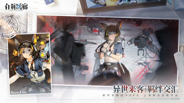 白荆回廊官方版截图2