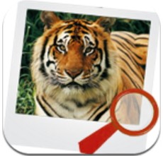 动物找茬单机版