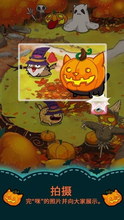 花梢猫官方正版截图3