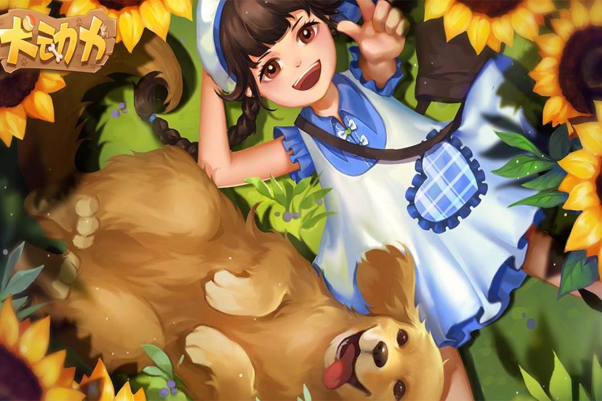 犬动力单机版截图2