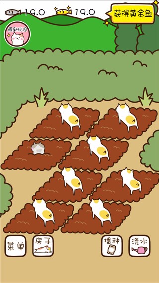 猫咪田园国际服版
