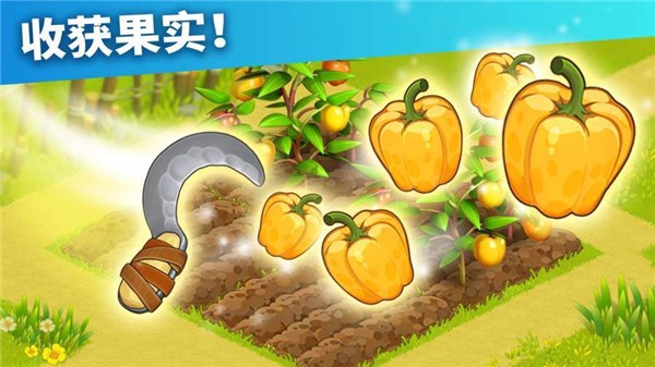 家庭岛体验服版截图3