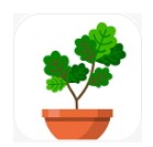 植物日记测试版