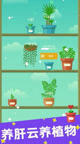 植物日记测试版截图3