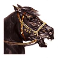 骑马与砍杀破解版