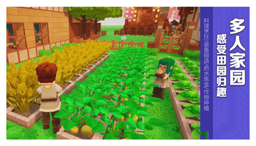 龙与家园测试版