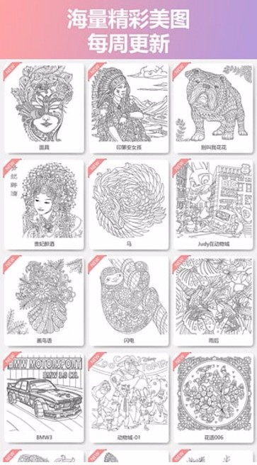 全民涂色免费版截图3