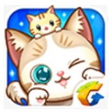 天天砰砰砰官方正版